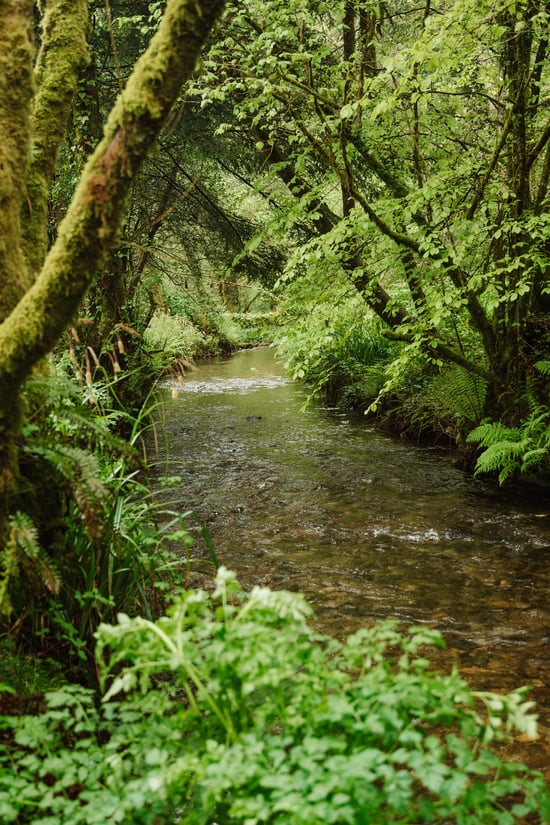 Millpond at Deerpark, Forest Holidays