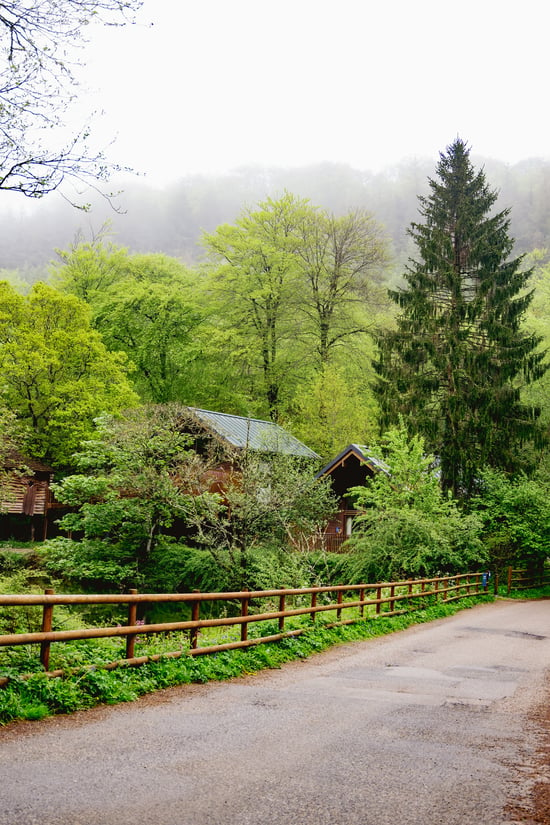 Log cabins Deerpark, Forest Holidays