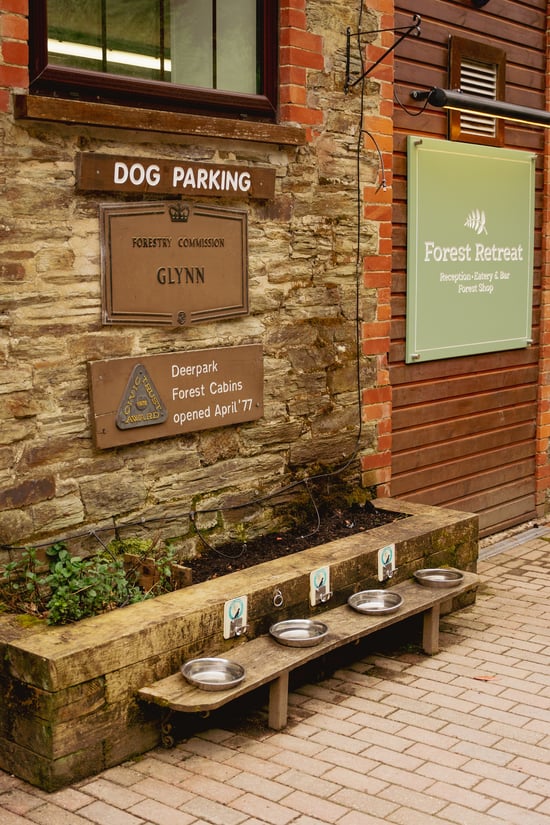 Dog washing station at Forest Holidays