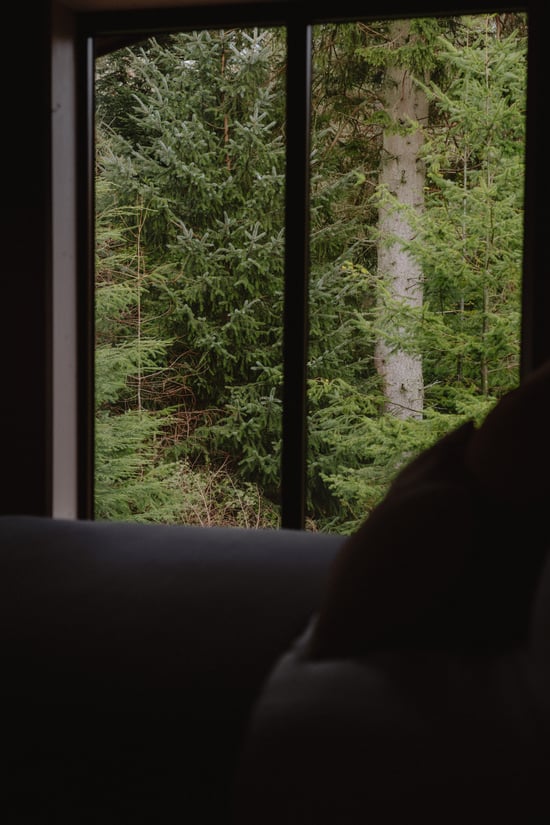 Unfurl master bedroom window views looking out towards the forest at Forest Holidays