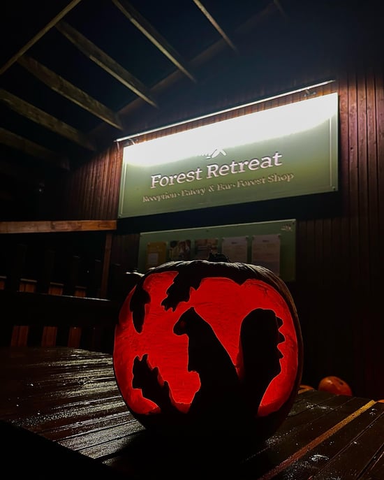 Pumpkins at Forest Holidays