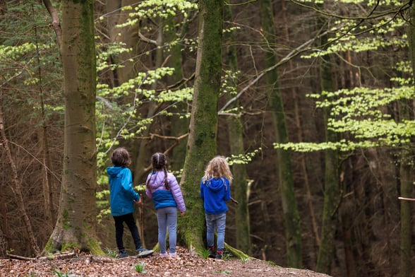 Nature Discovery Trail at Delamere