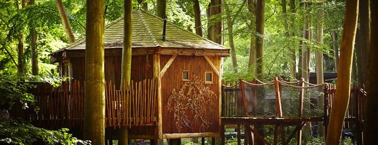 Golden Oak Treehouse at Blackwood Forest
