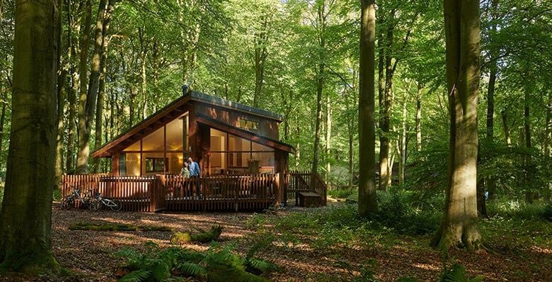 Golden Oak cabin at Blackwood Forest, Hampshire